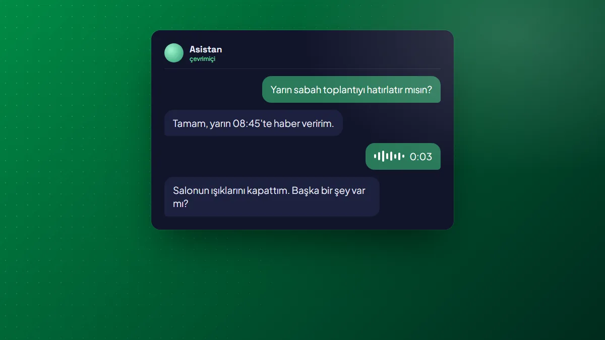 Kişisel Asistan kapak görseli